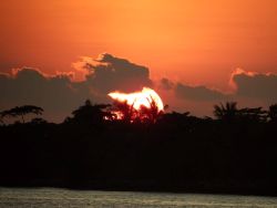 画像の説明 画像の説明