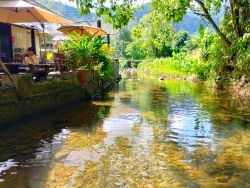 画像の説明 画像の説明