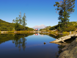 シャスタツアー シャスタツアー