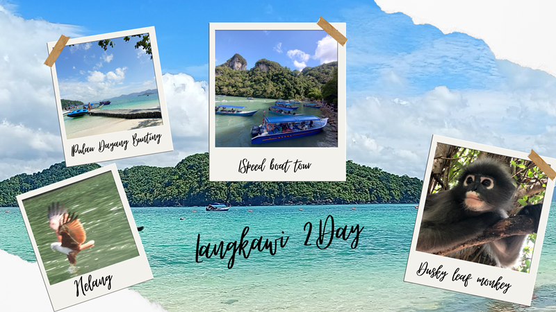 2日目-800 2日目-800