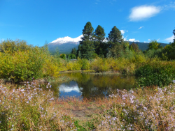 シャスタ2 シャスタ2