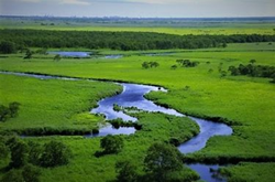250釧路湿原